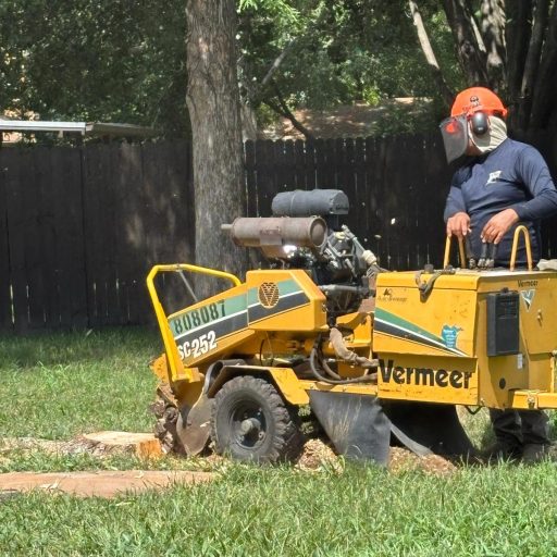 21154f43-49c6-49a1-b9fe-48b964d46a59