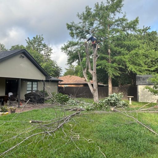 81f23a6c-75da-4bd1-9756-7887a3602d89