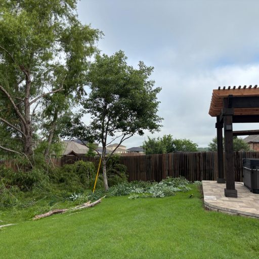 WhatsApp Image 2026-01-15 at 2.39.15 PM (1)