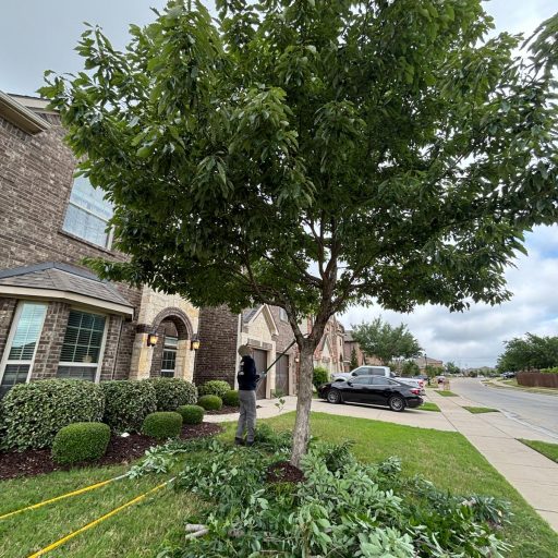 WhatsApp Image 2026-01-15 at 2.39.15 PM