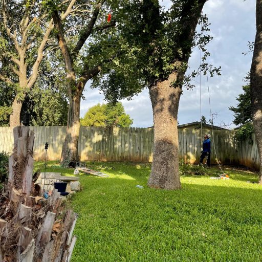 WhatsApp Image 2026-01-26 at 10.33.00 AM