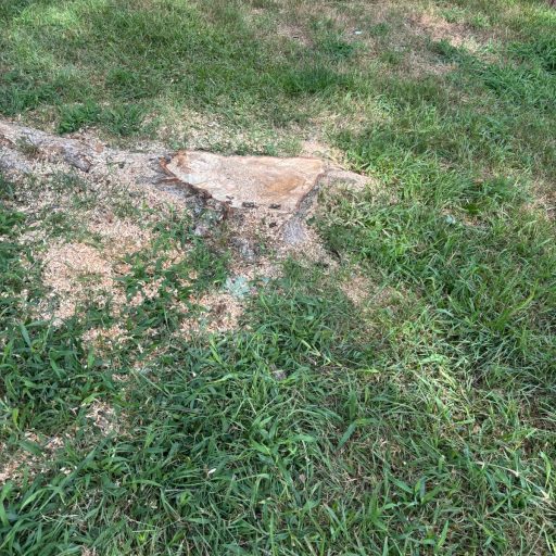 f7dd89d4-9d39-4486-bfdd-354e6eb6b049