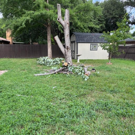 f97d68ec-0103-4f9e-8581-232e20f899f5